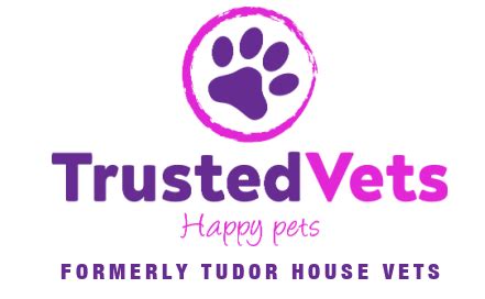 tudor house vets